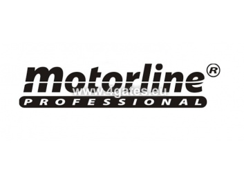 MOTORLINE PROFESSIONAL