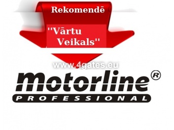 MOTORLINE PROFESSIONAL