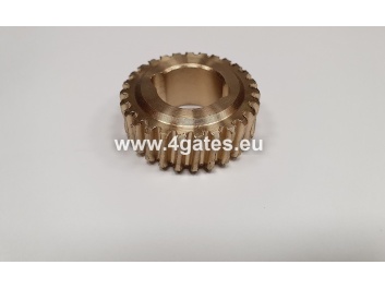 MOTORLINE PROFESSIONAL JAG 400/600, LINCE 300/400/600 Gear unit bronze gear.